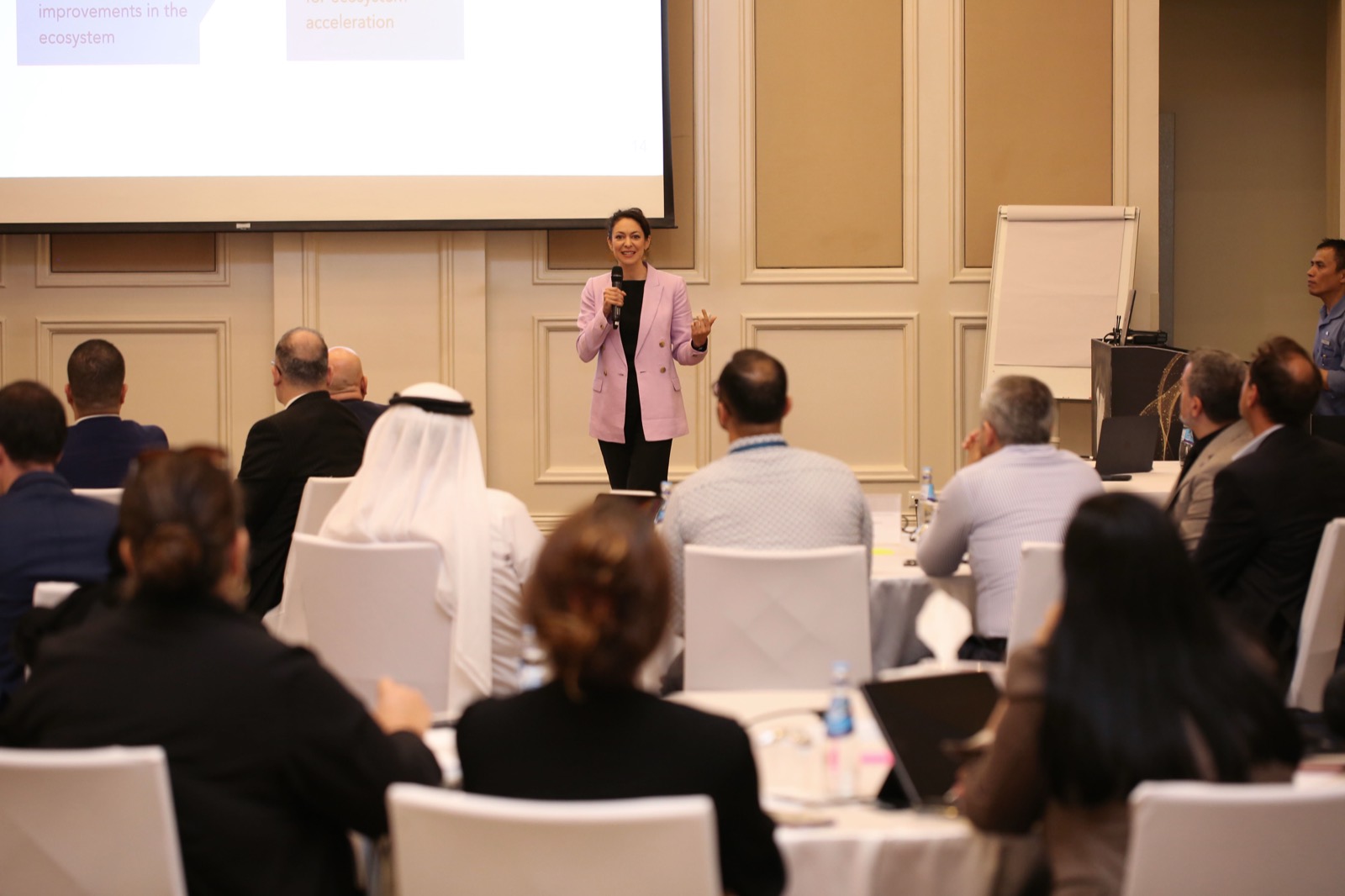 Lucy Antrobus presenting to government delegates at a Digital Innovation Profile workshop in Doha